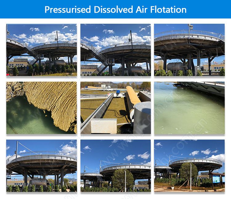 Dissolved Air Floatation Supplier Dissolved Air Floatation Supplier